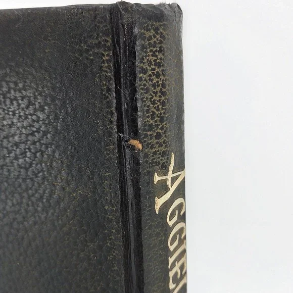 Aggieland Aggies 1955 Vintage Texas A&M University College Yearbook Table Decor - Picture 6 of 12